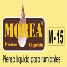 Morea -15